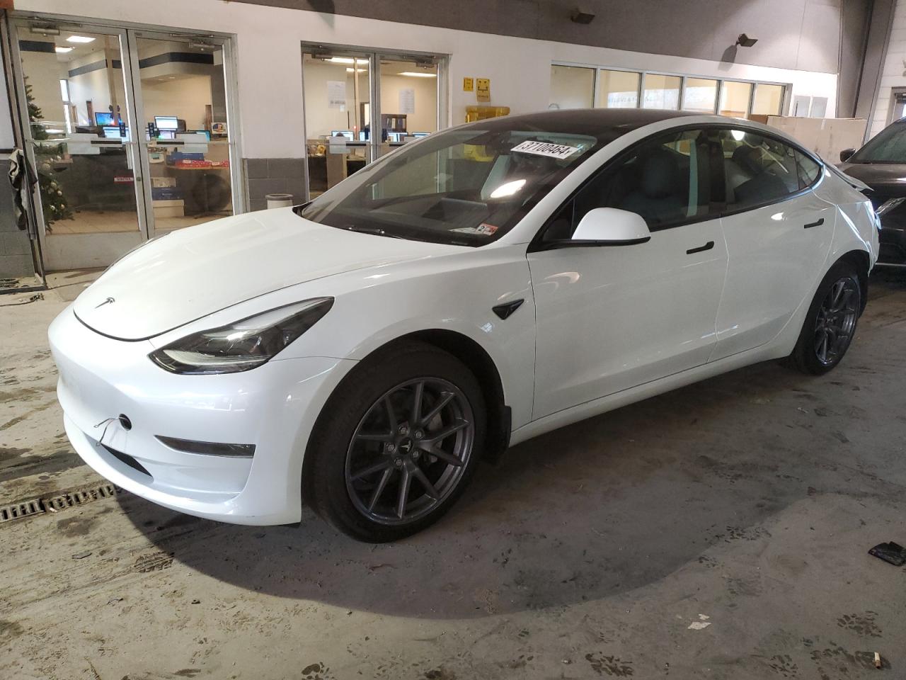 TESLA MODEL 3 2023 5yj3e1ea4pf479184