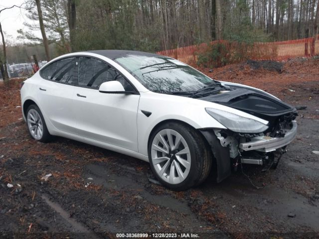 TESLA MODEL 3 2023 5yj3e1ea4pf642254