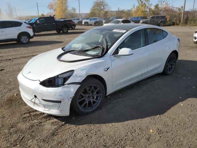 TESLA MODEL 3 2019 5yj3e1ea5kf483219