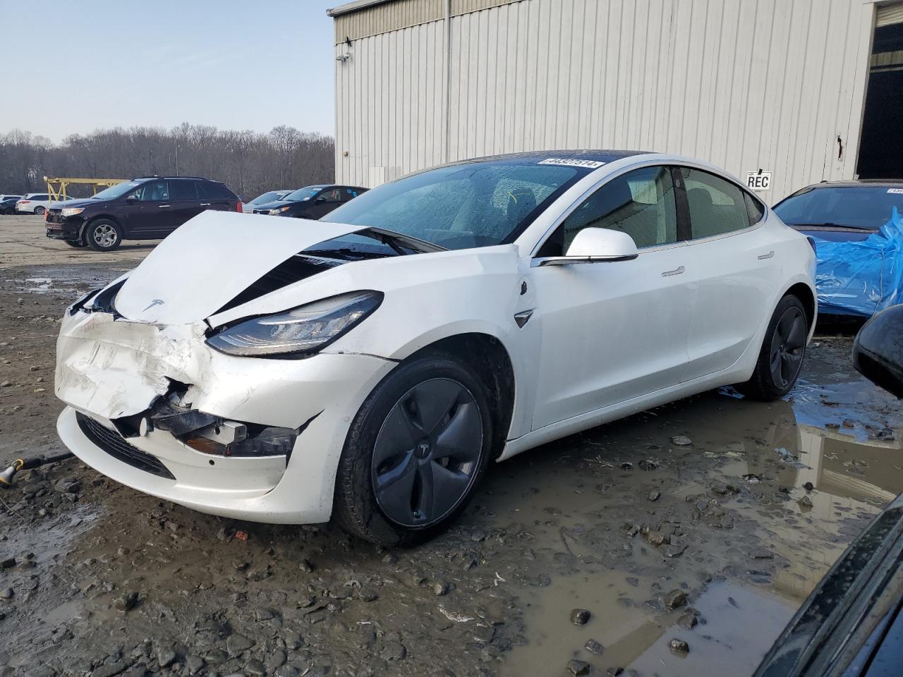 TESLA MODEL 3 2019 5yj3e1ea5lf597724