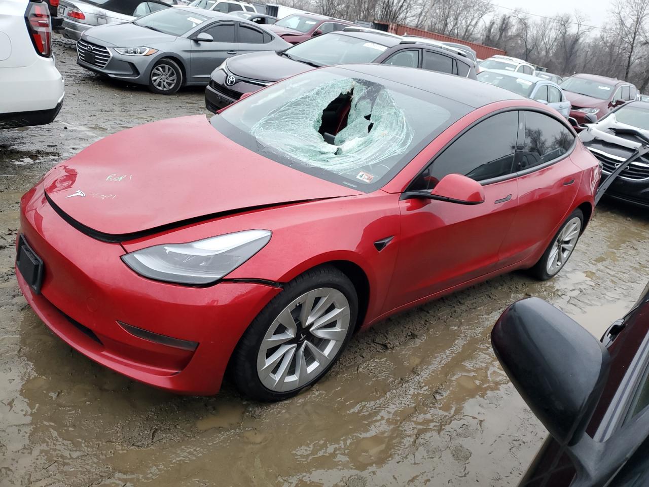 TESLA MODEL 3 2023 5yj3e1ea5pf495667