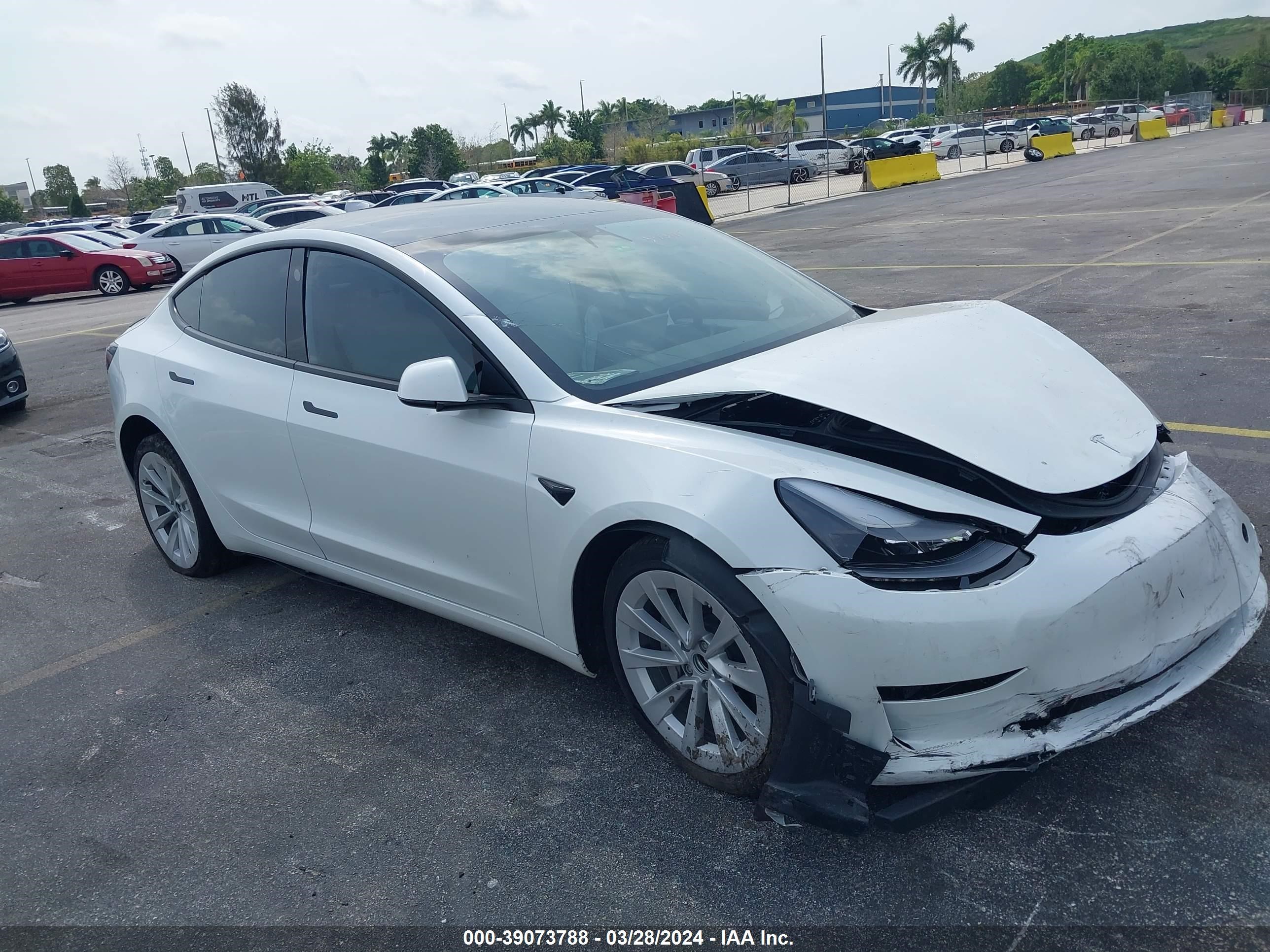 TESLA MODEL 3 2023 5yj3e1ea5pf510541