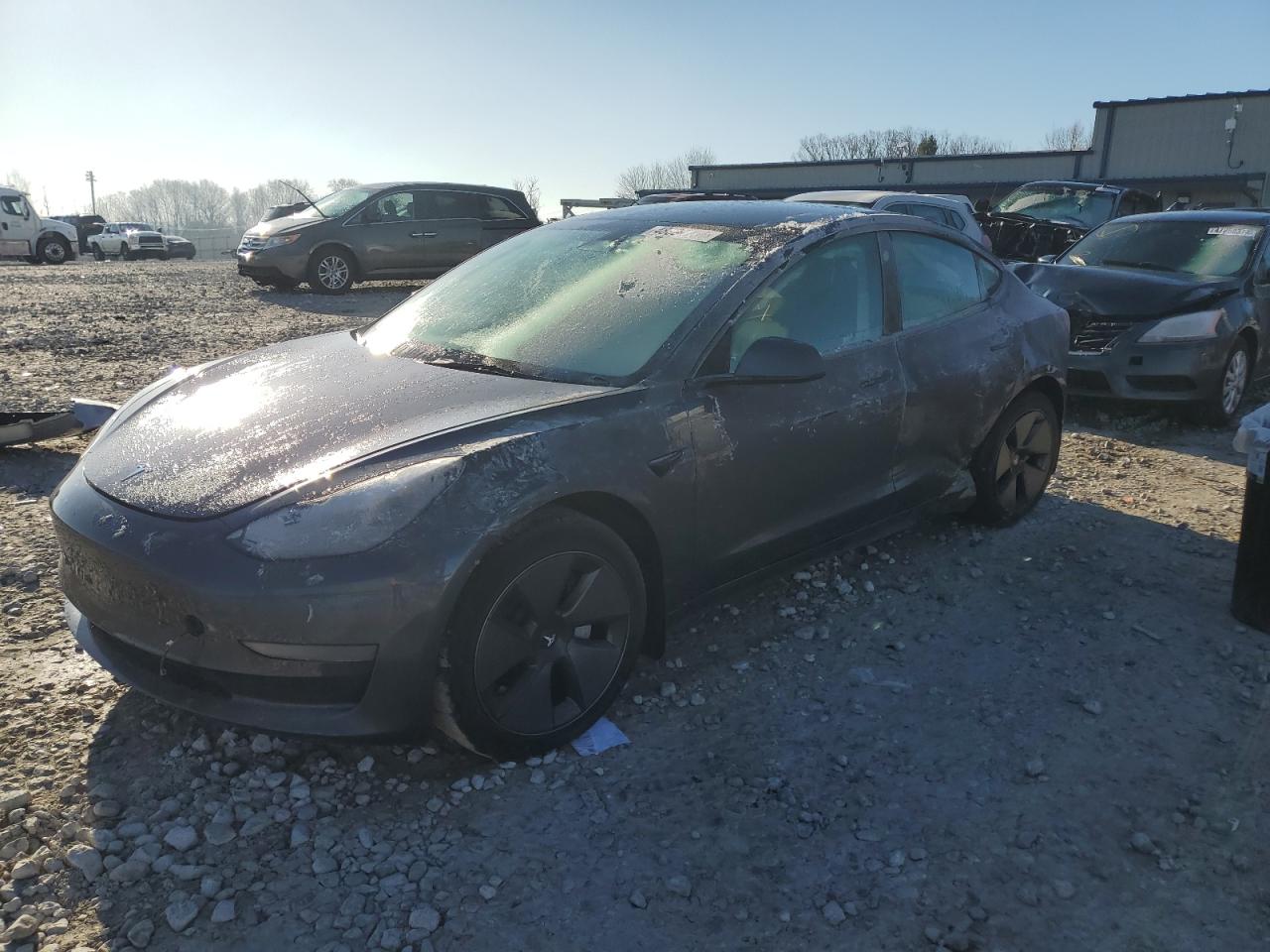 TESLA MODEL 3 2023 5yj3e1ea5pf654557