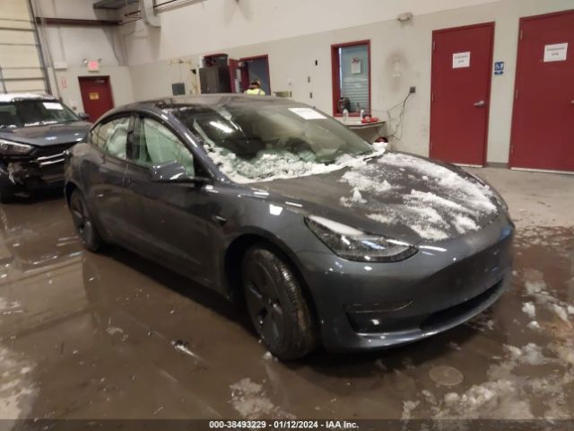 TESLA MODEL 3 2023 5yj3e1ea5pf705961