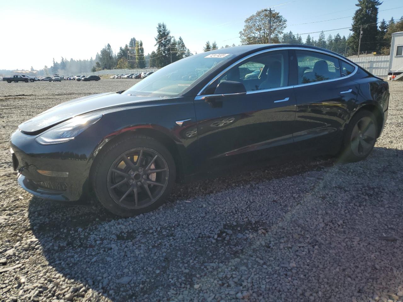 TESLA MODEL 3 2019 5yj3e1ea6kf297124