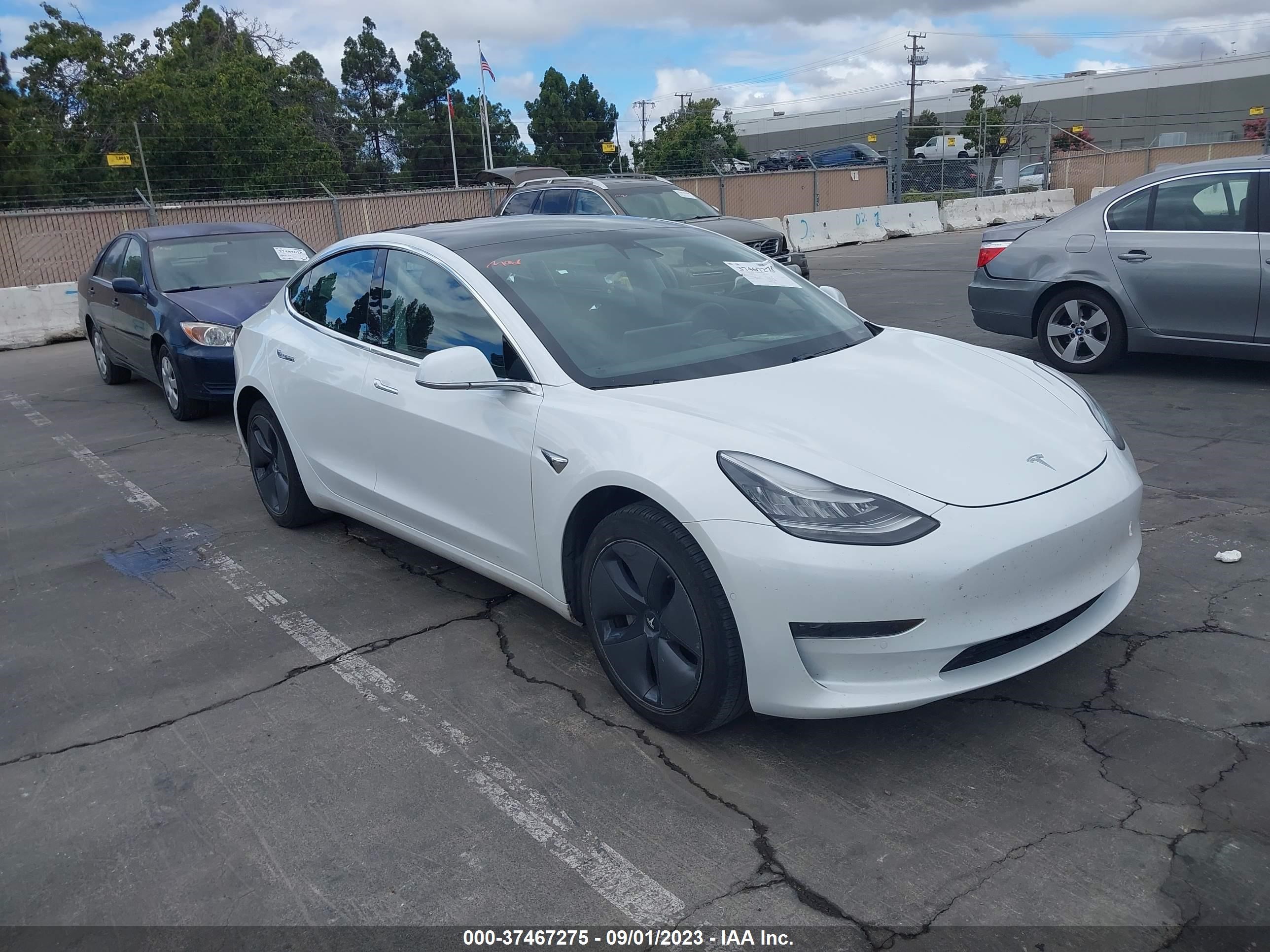 TESLA MODEL 3 2019 5yj3e1ea6kf466770