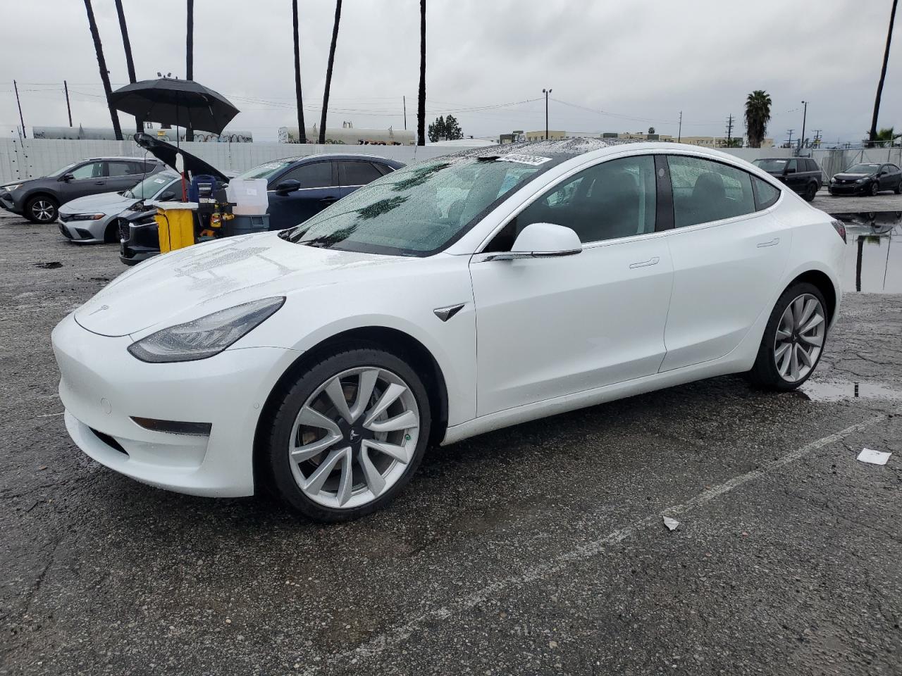 TESLA MODEL 3 2019 5yj3e1ea7kf446611