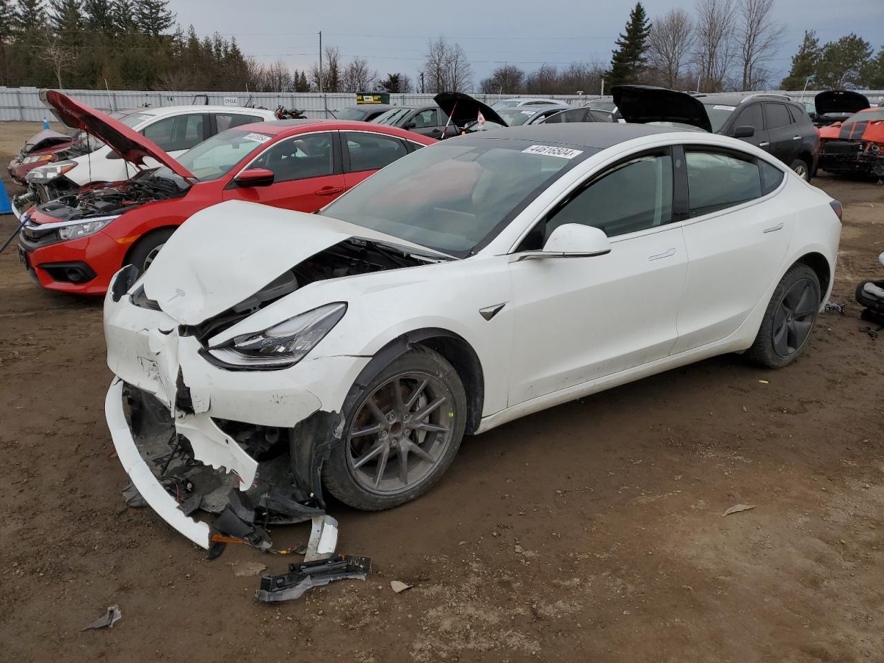 TESLA MODEL 3 2020 5yj3e1ea7lf625586