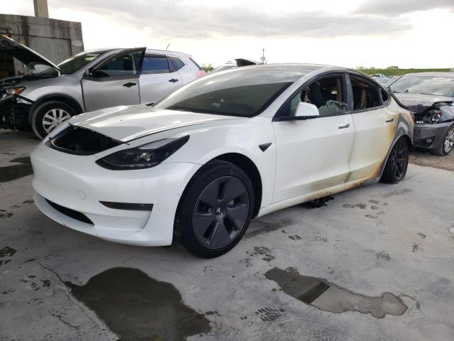 TESLA MODEL 3 2021 5yj3e1ea7mf087568