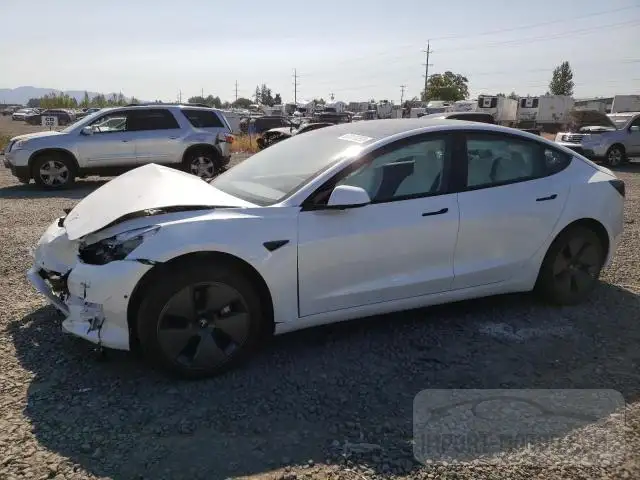 TESLA MODEL 3 2022 5yj3e1ea8nf251122