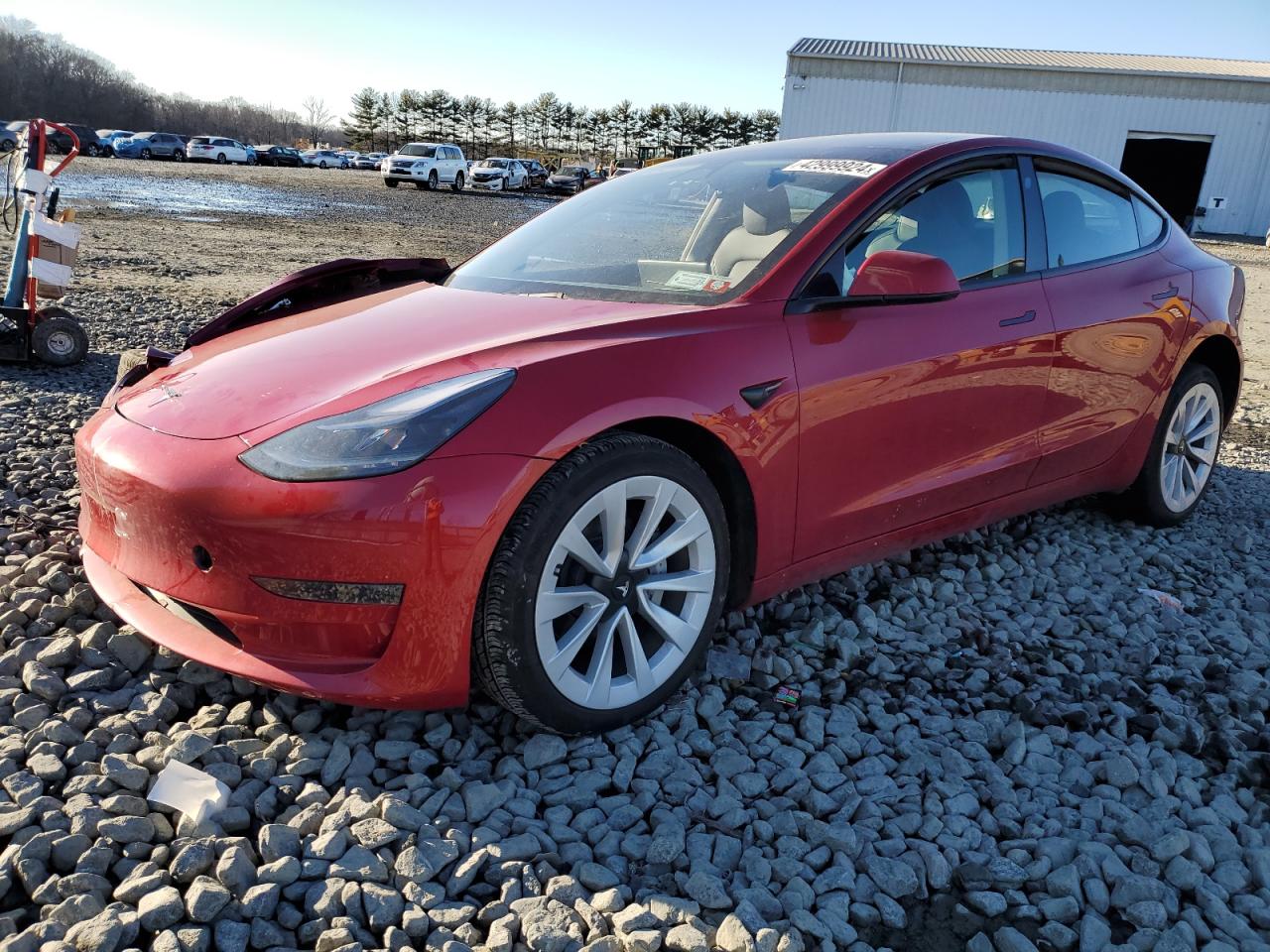 TESLA MODEL 3 2023 5yj3e1ea8pf583984