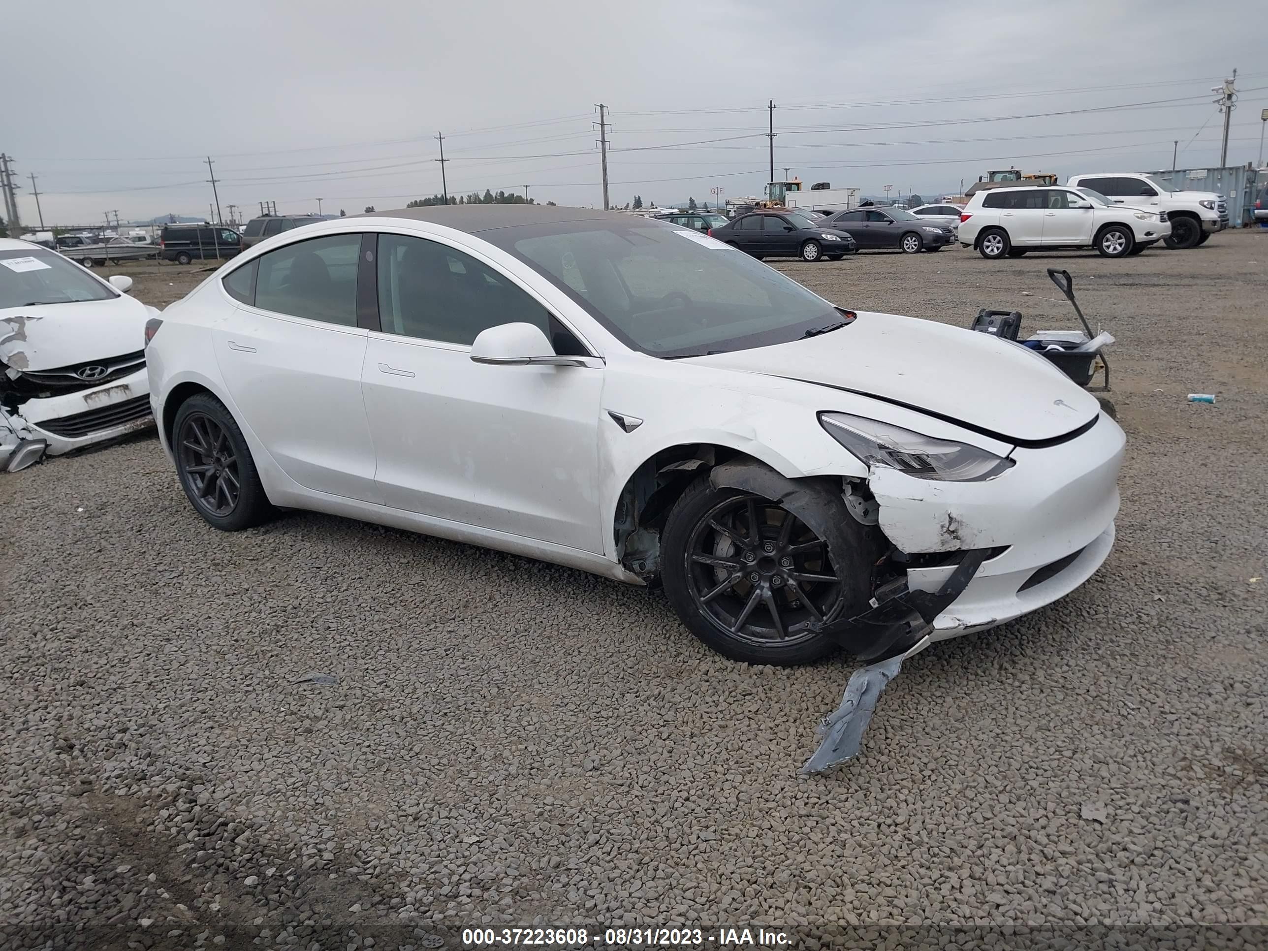 TESLA MODEL 3 2019 5yj3e1ea9kf485815