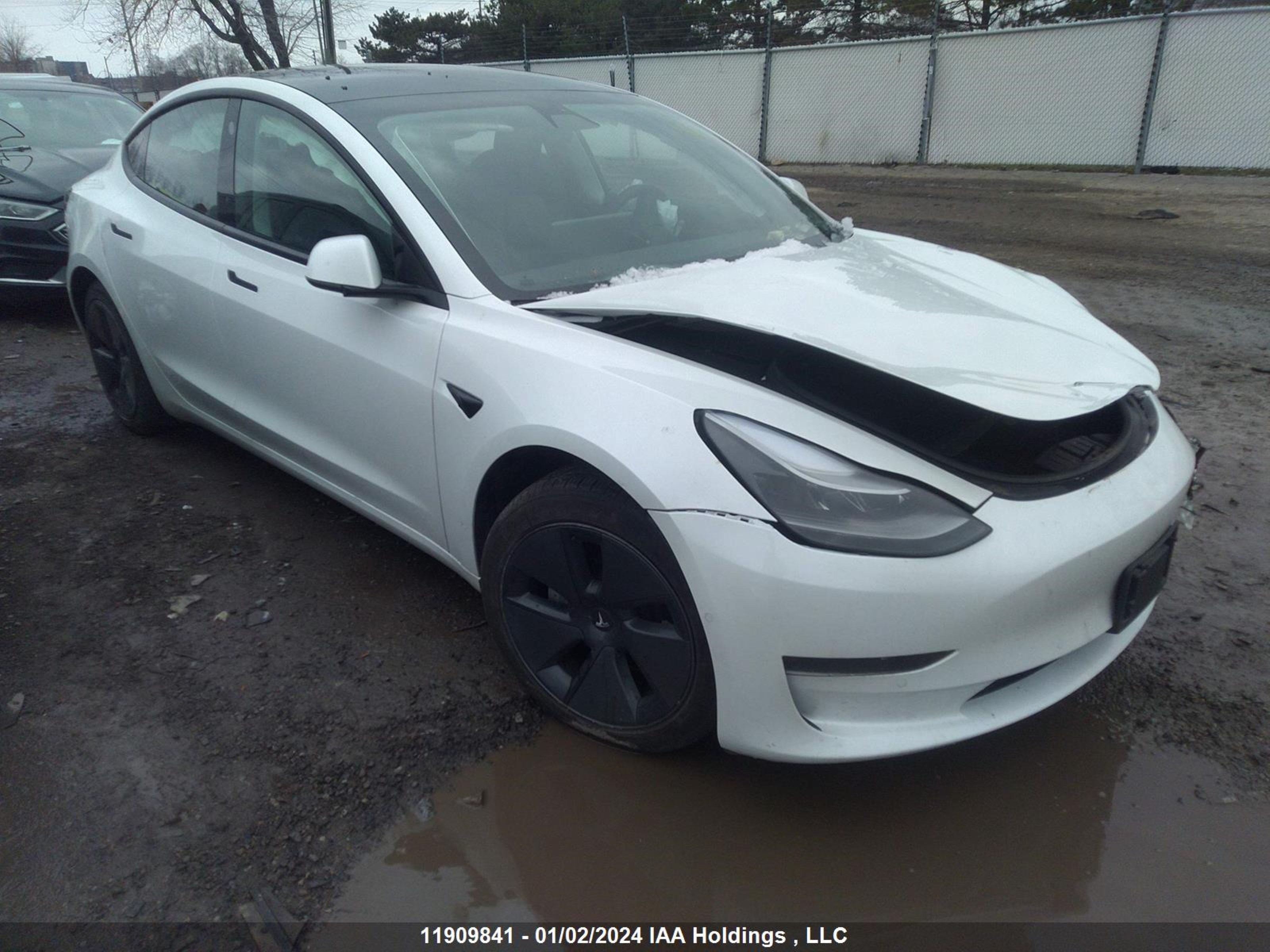 TESLA MODEL 3 2021 5yj3e1ea9mf082355