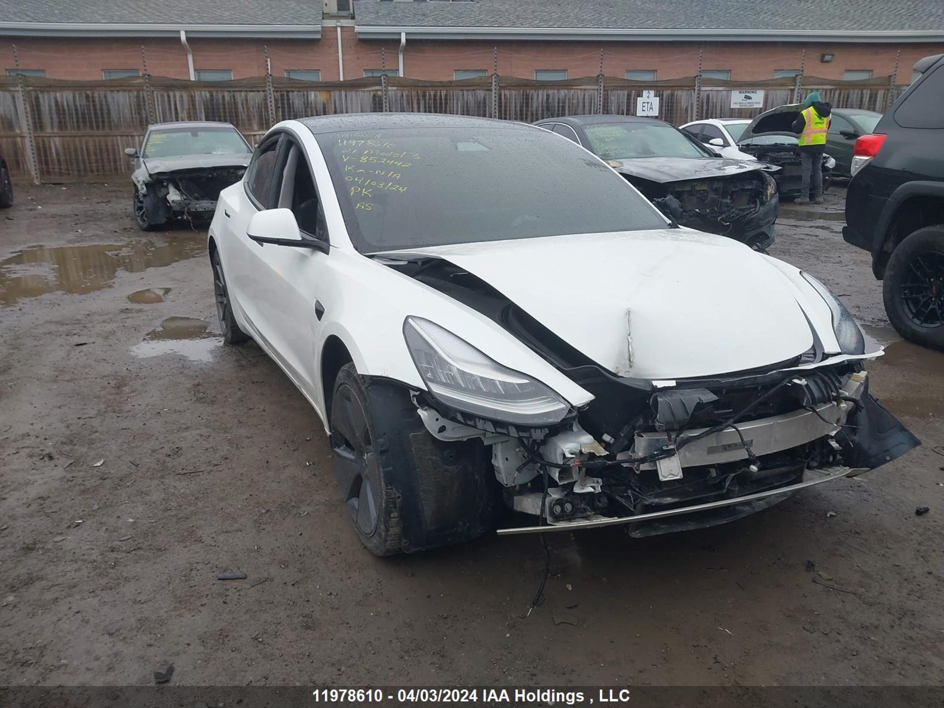 TESLA MODEL 3 2021 5yj3e1ea9mf852442