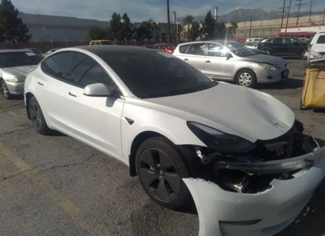 TESLA MODEL 3 2021 5yj3e1eaxmf016185