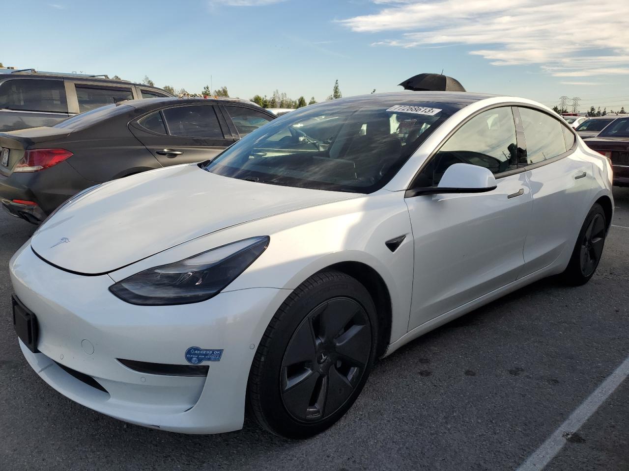 TESLA MODEL 3 2021 5yj3e1eaxmf026988