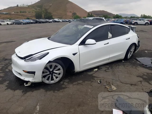 TESLA MODEL 3 2021 5yj3e1eaxmf057500