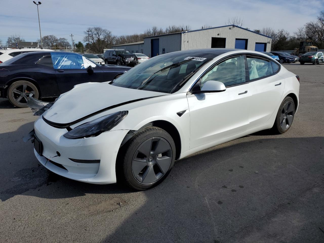 TESLA MODEL 3 2021 5yj3e1eaxmf088035