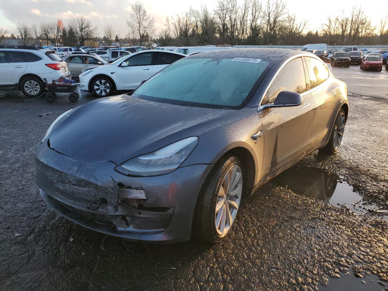 TESLA MODEL 3 2019 5yj3e1eb0kf391685