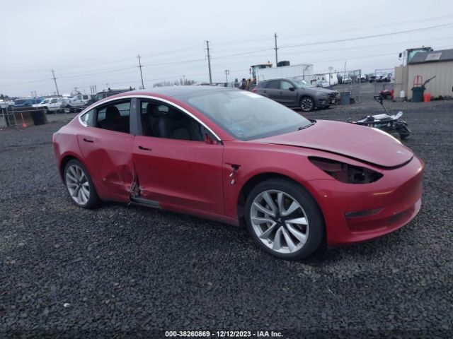 TESLA MODEL 3 2019 5yj3e1eb1kf406601