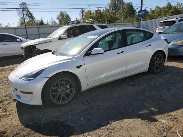 TESLA MODEL 3 2021 5yj3e1eb2mf981440