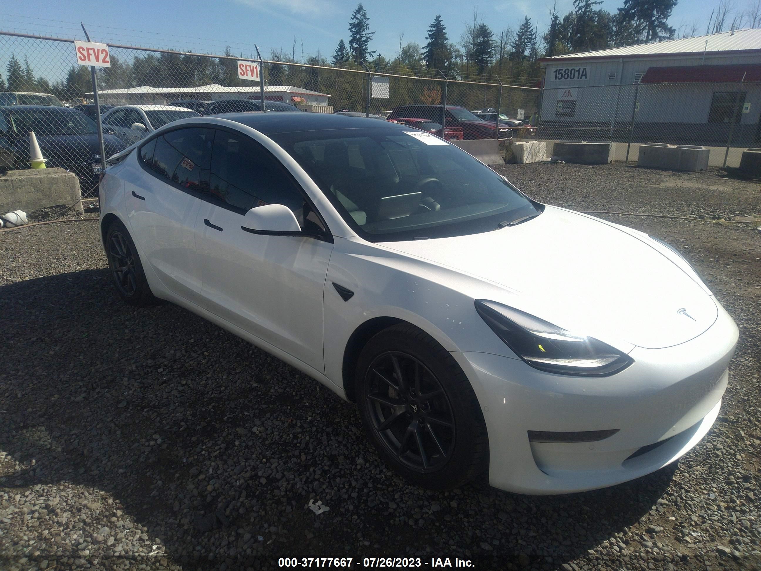 TESLA MODEL 3 2021 5yj3e1eb3mf939004