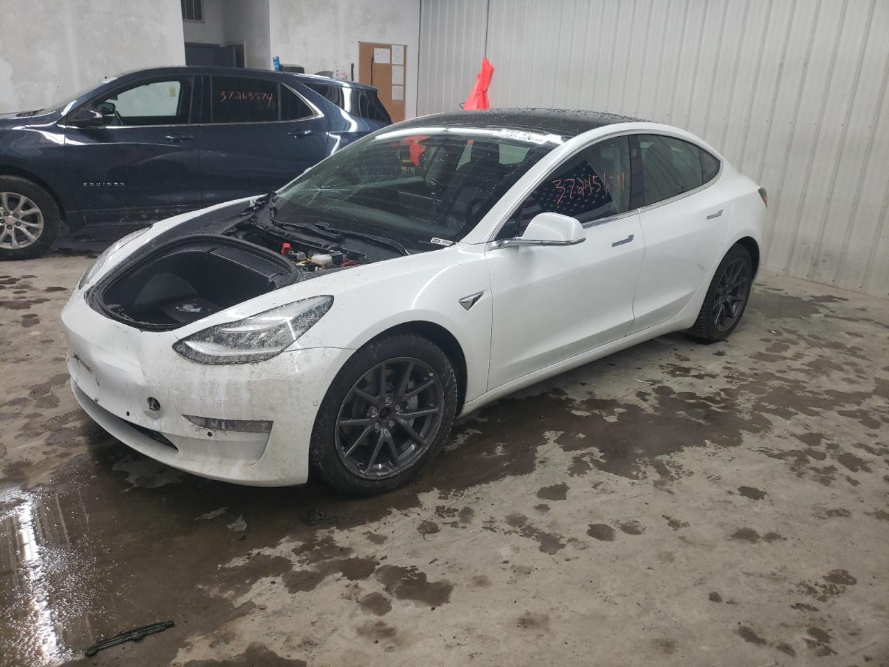 TESLA MODEL 3 2019 5yj3e1eb4kf433436