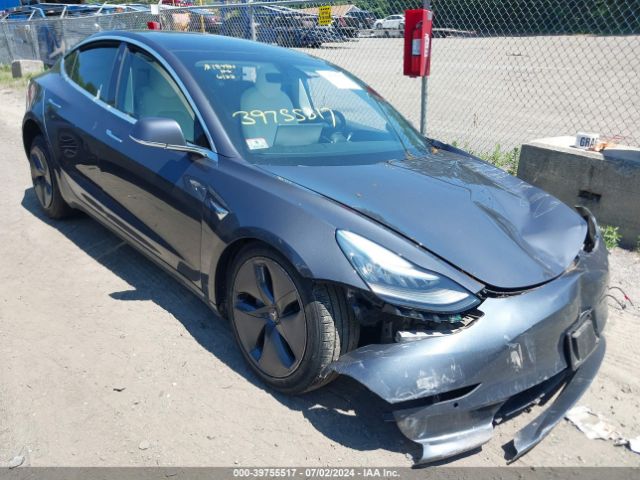 TESLA MODEL 3 2019 5yj3e1eb5kf365843