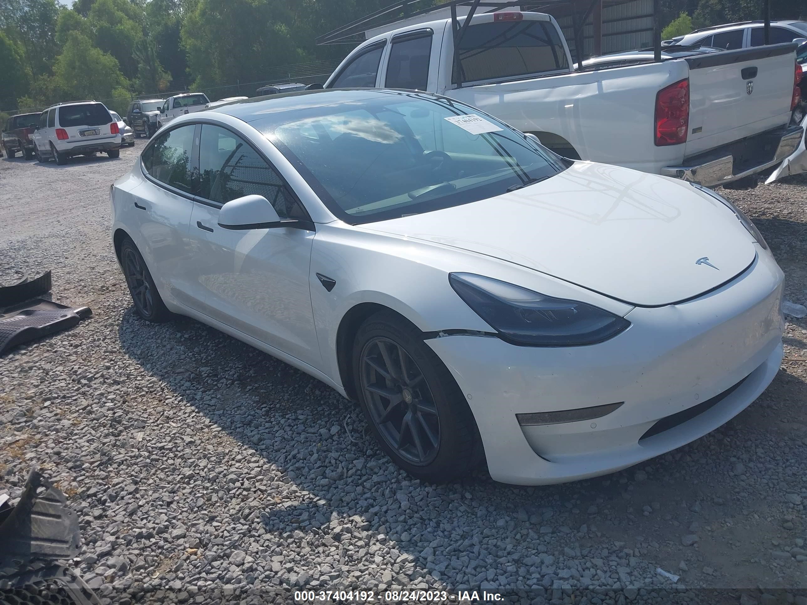 TESLA MODEL 3 2021 5yj3e1eb5mf062564