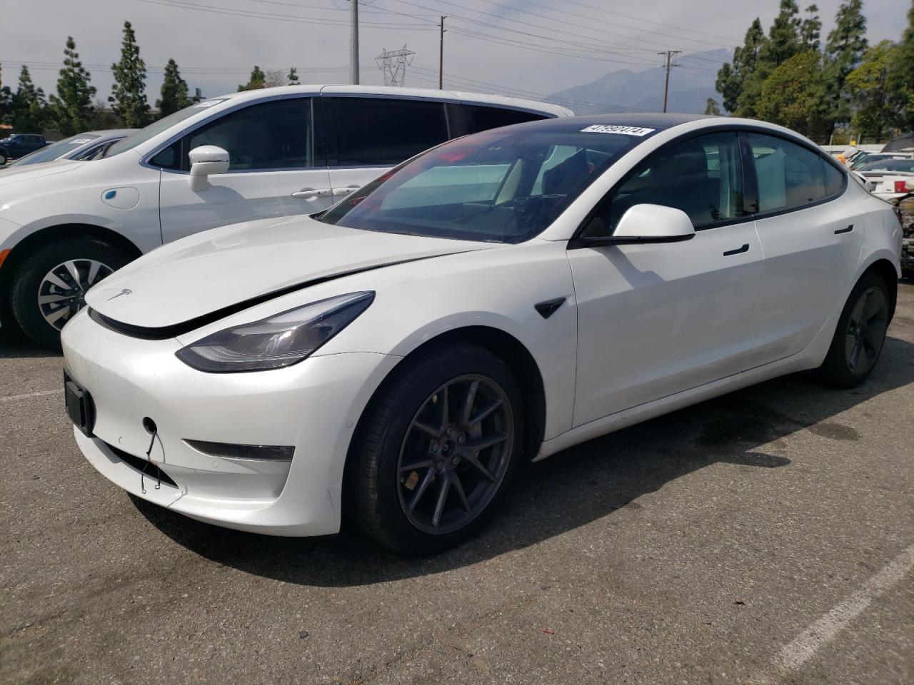 TESLA MODEL 3 2022 5yj3e1eb5nf319577