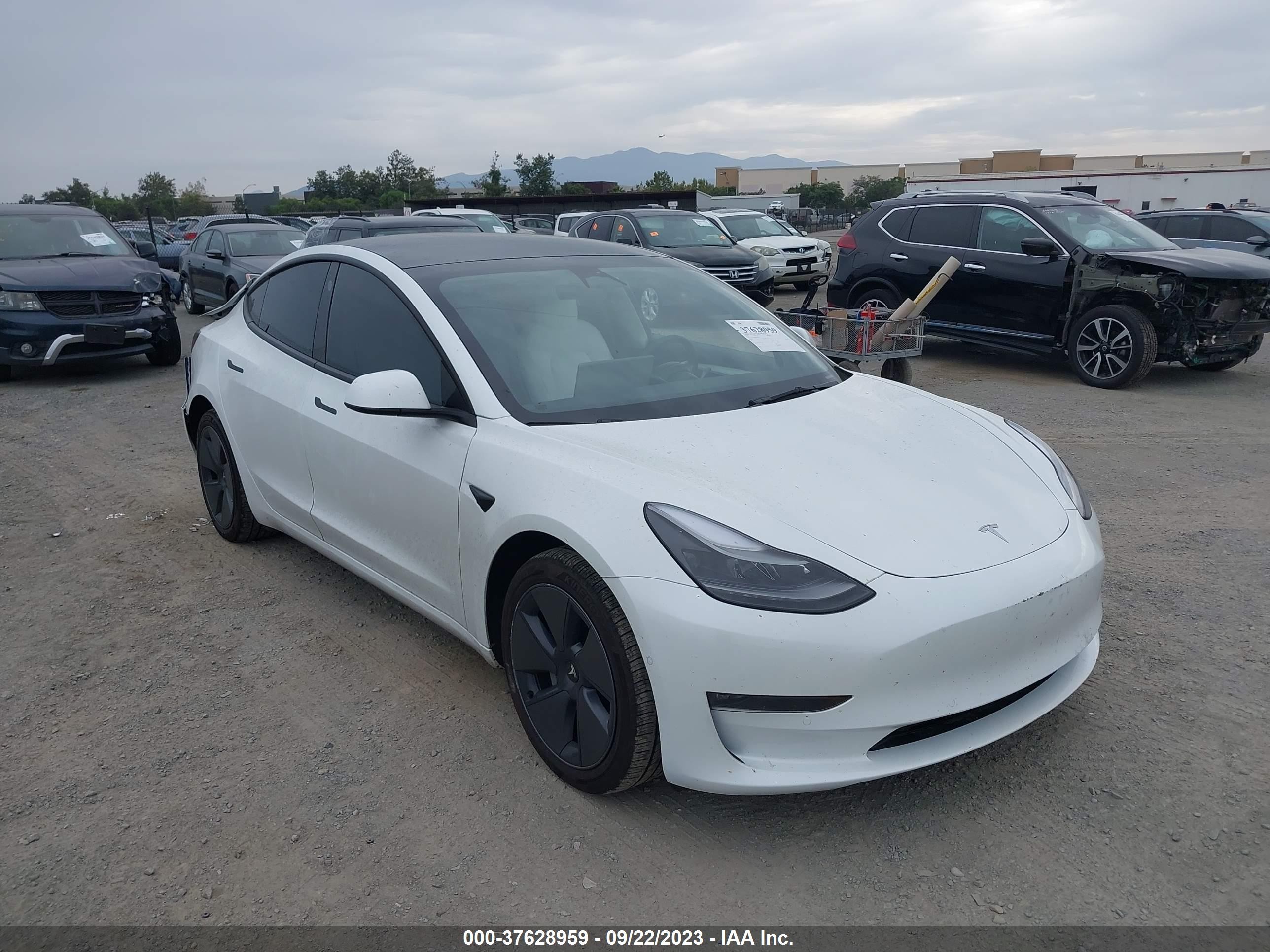 TESLA MODEL 3 2022 5yj3e1eb6nf319233