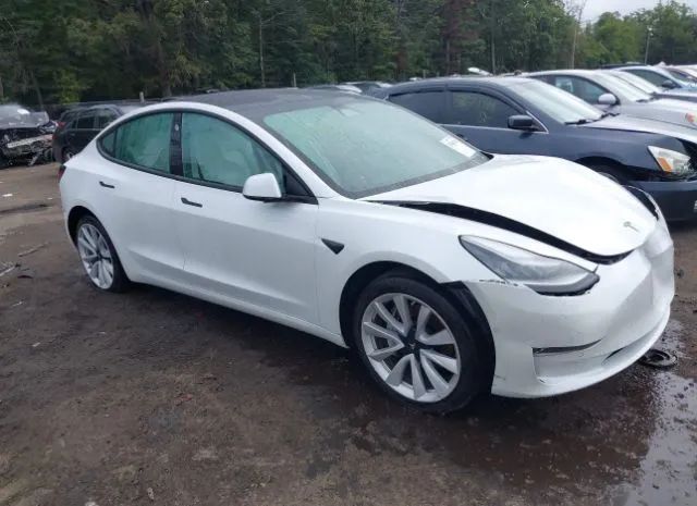 TESLA MODEL 3 2019 5yj3e1eb7kf513345