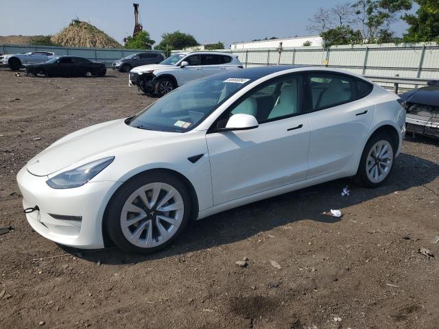 TESLA MODEL 3 2021 5yj3e1eb7mf975455