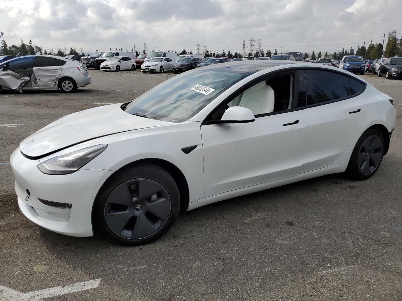 TESLA MODEL 3 2022 5yj3e1eb8nf230439