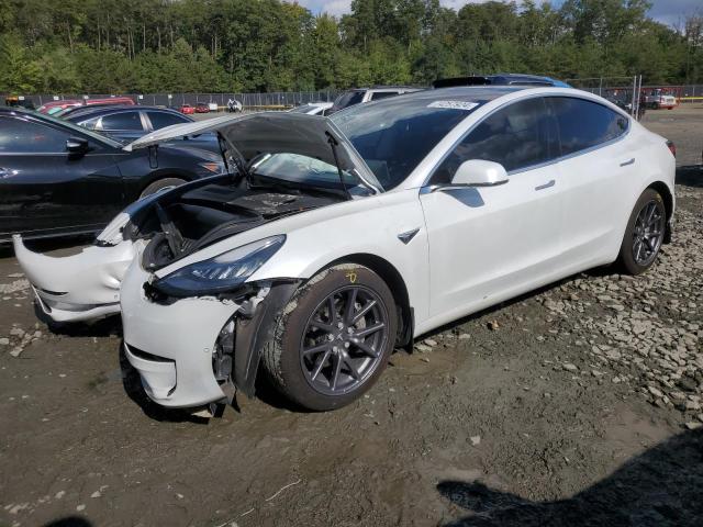 TESLA MODEL 3 2020 5yj3e1eb9lf795084