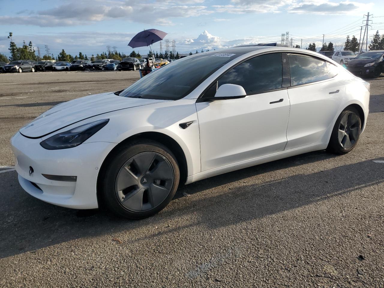 TESLA MODEL 3 2022 5yj3e1eb9nf161387