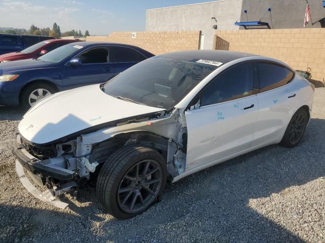 TESLA MISC PARTS 2022 5yj3e1ebxnf200813