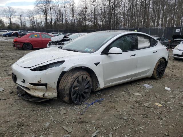 TESLA MODEL 3 2023 5yj3e1ec3pf464600