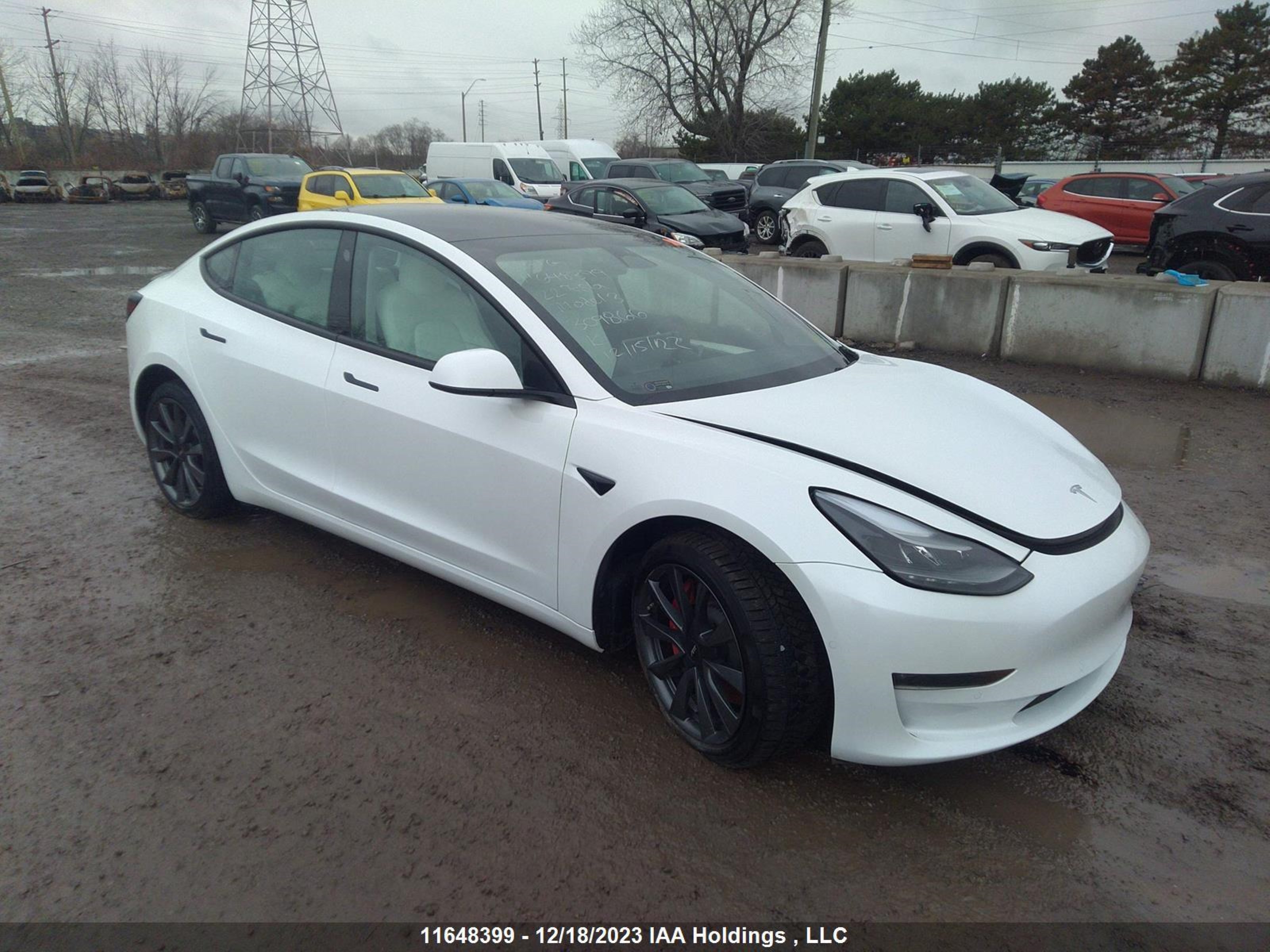 TESLA MODEL 3 2022 5yj3e1ec5nf309866