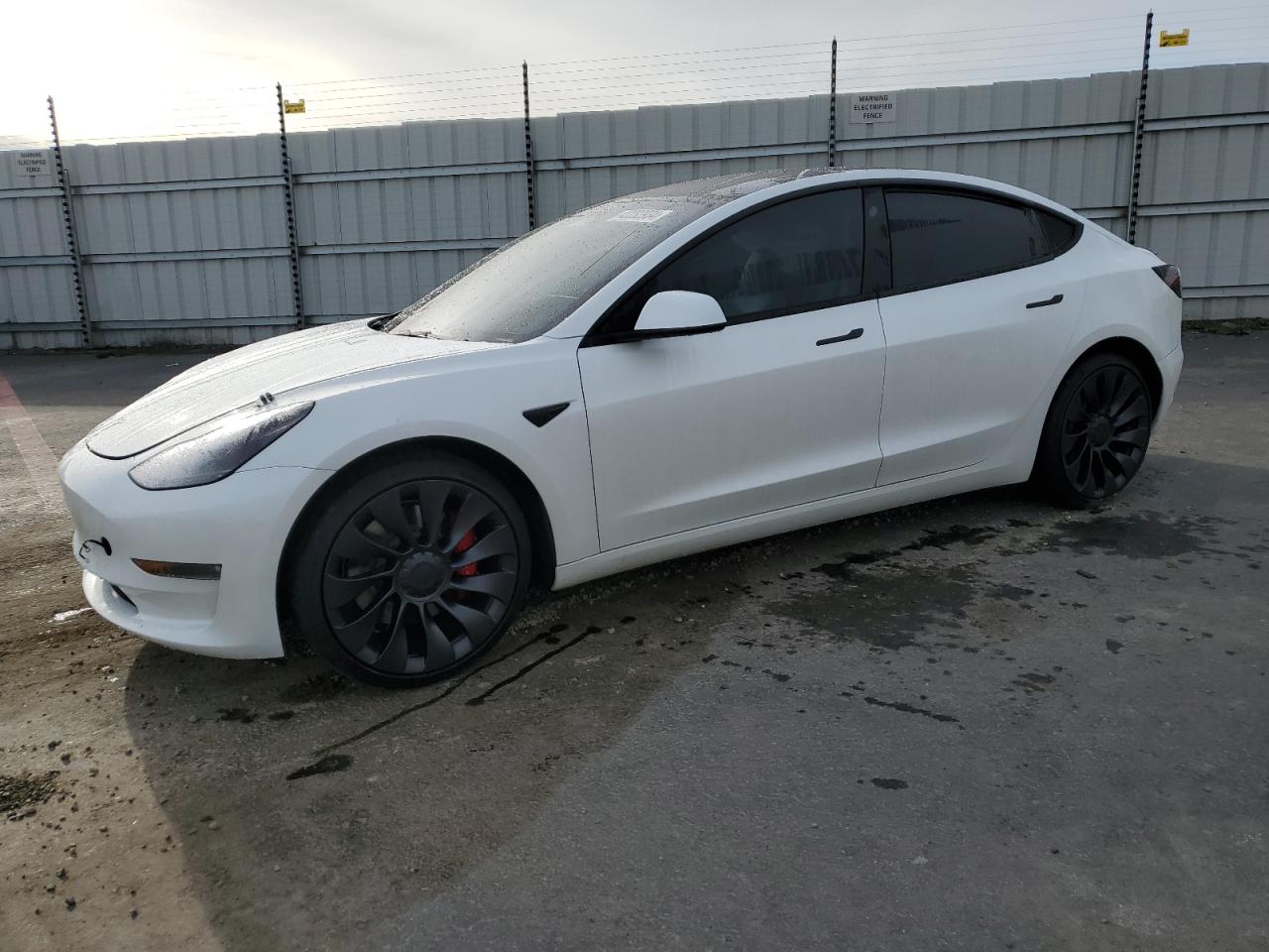 TESLA MODEL 3 2023 5yj3e1ec6pf610570