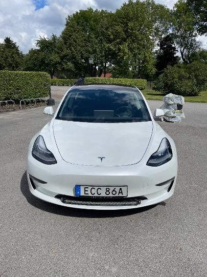 TESLA MODEL 3 2019 5yj3e7eb0kf229834