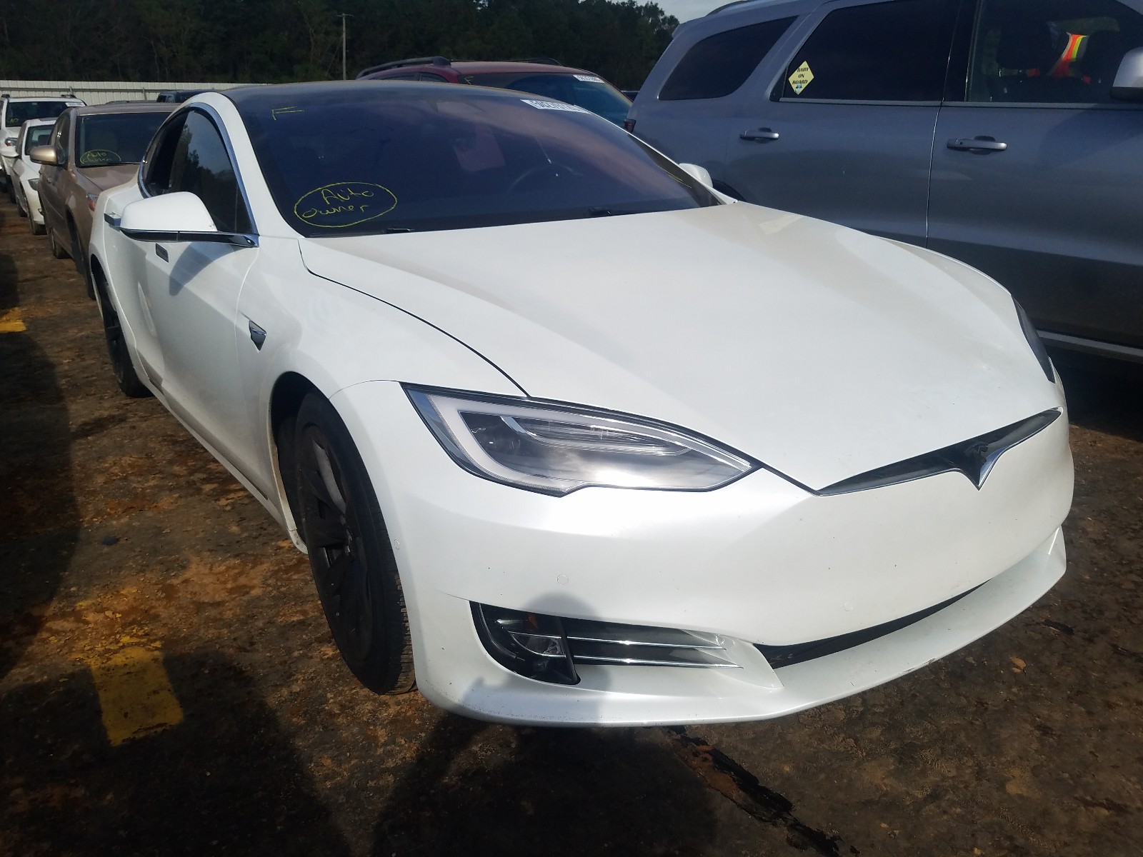 TESLA MODEL S 2019 5yjsa1e24kf340584