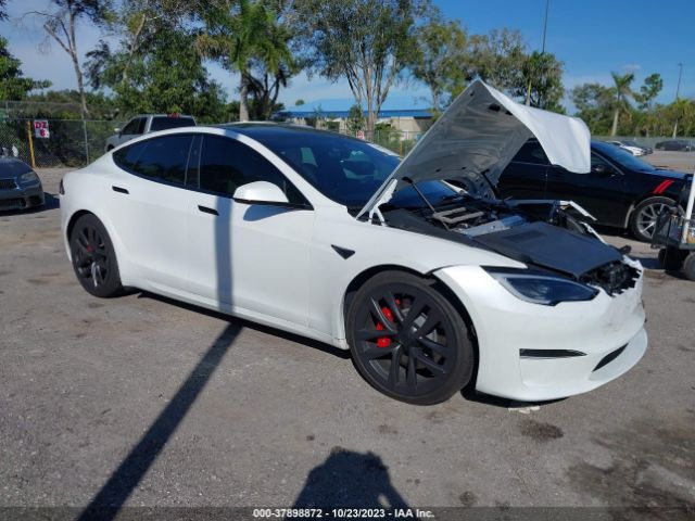 TESLA MODEL S 2023 5yjsa1e51pf513219