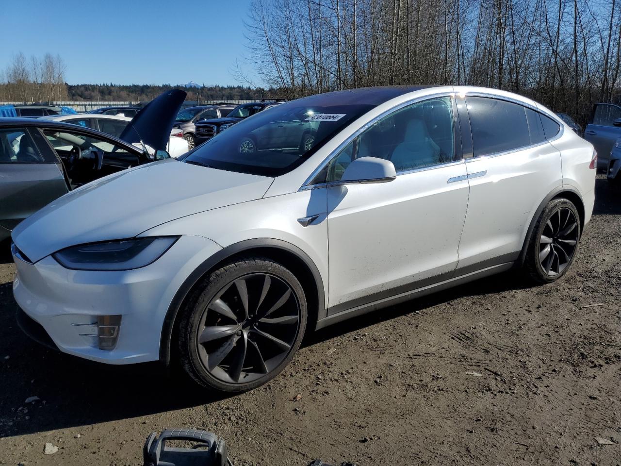 TESLA MODEL X 2019 5yjxcae21kf207359