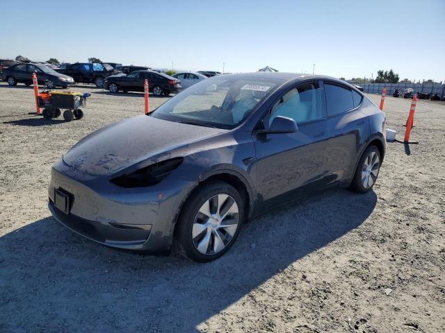 TESLA MODEL Y 2021 5yjygaed2mf136055