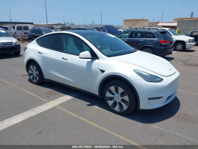 TESLA MODEL Y 2021 5yjygaed2mf176538