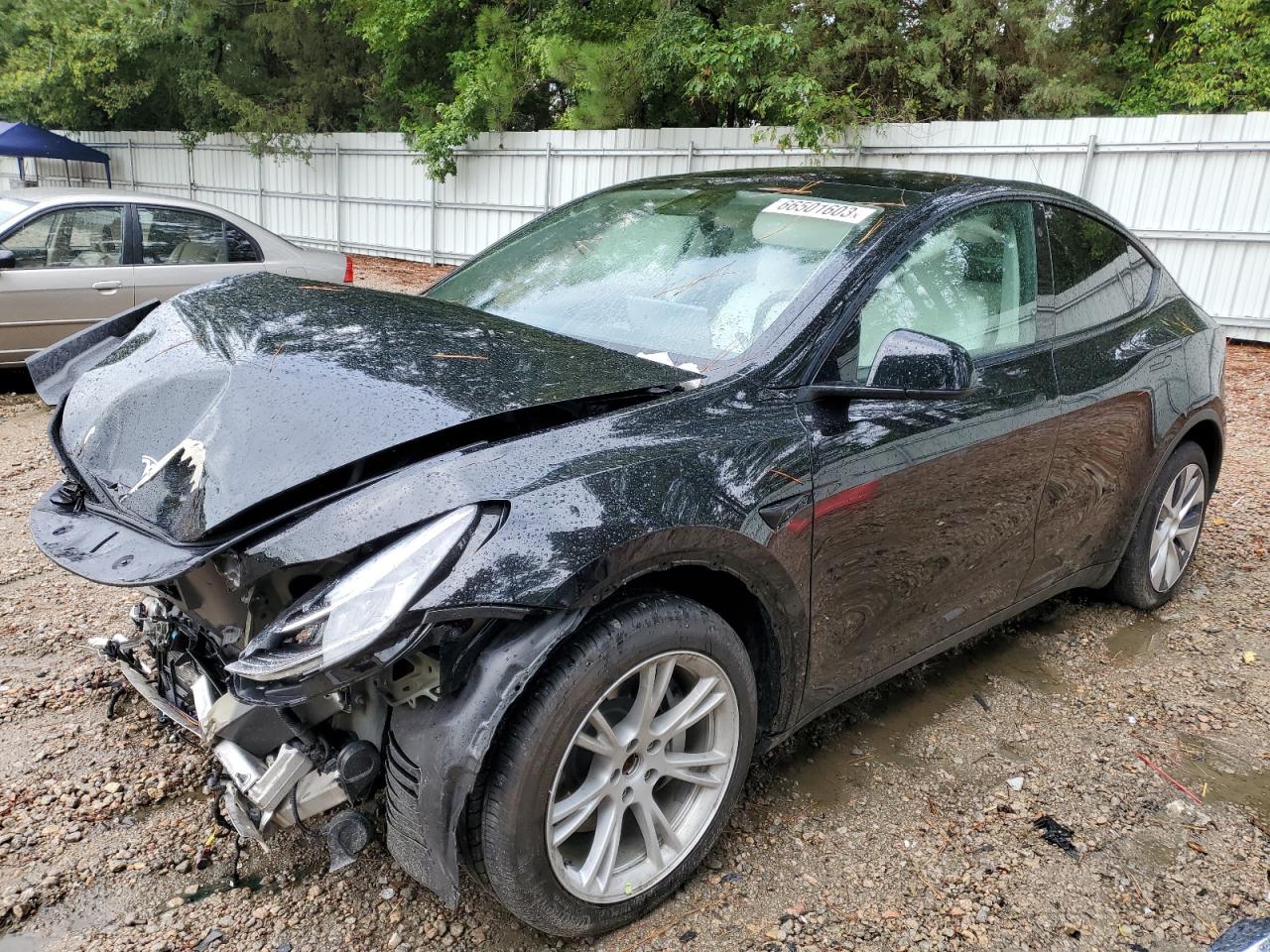 TESLA MODEL Y 2021 5yjygaed2mf177057