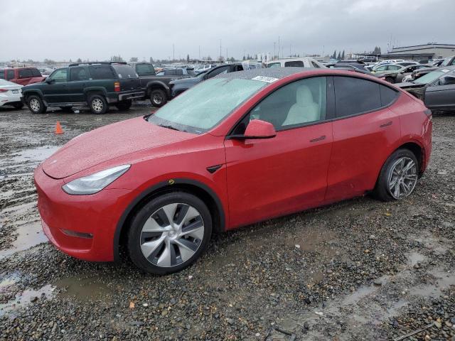 TESLA MODEL Y 2021 5yjygaed4mf176007