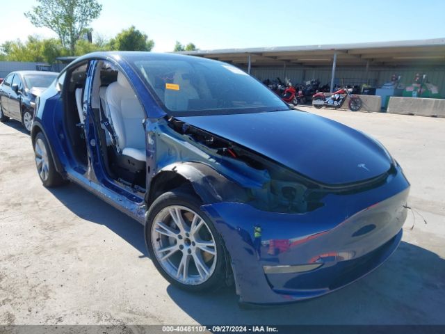 TESLA MODEL Y 2021 5yjygaedxmf142766