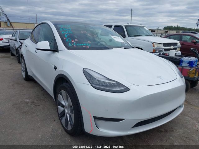 TESLA MODEL Y 2021 5yjygaedxmf177081